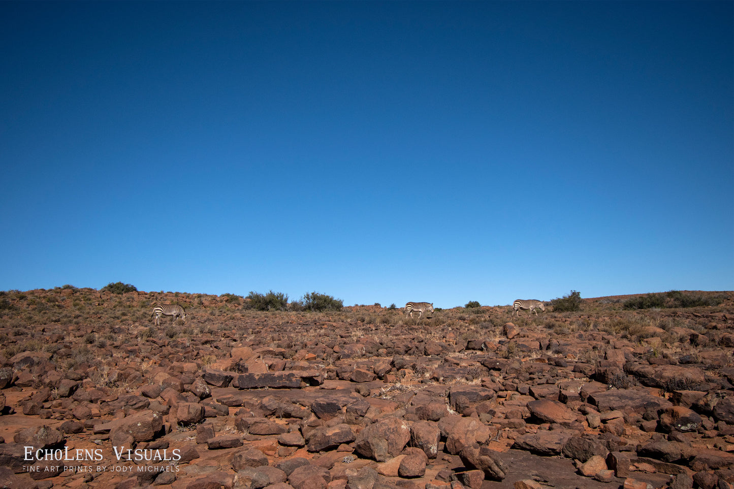 Among the Karoo Stones