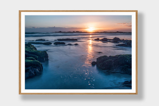 Ocean Gold