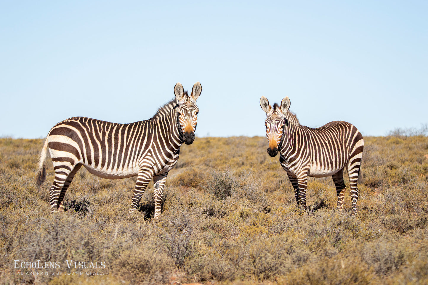 Two of the Karoo