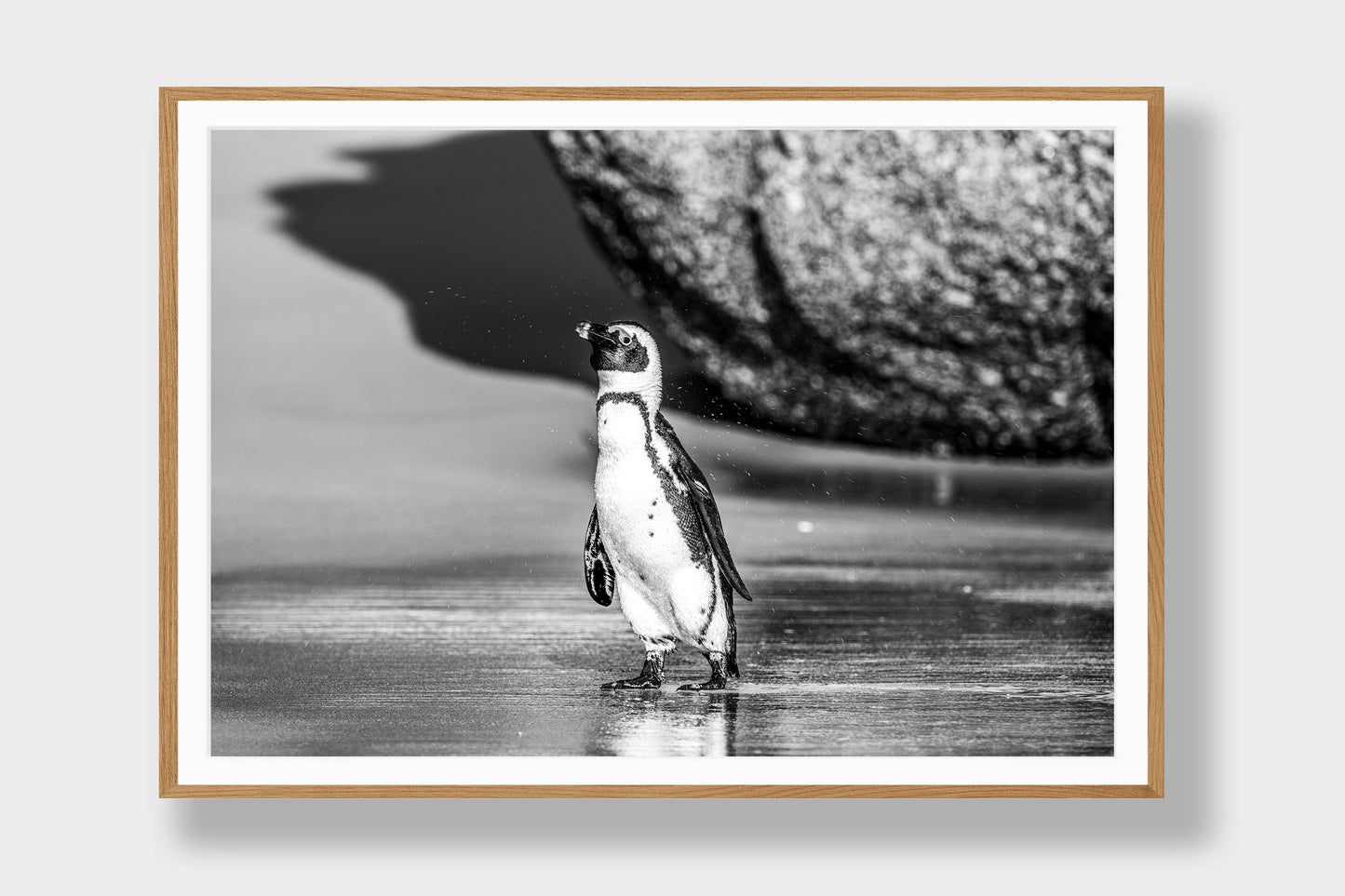A Moment Ashore