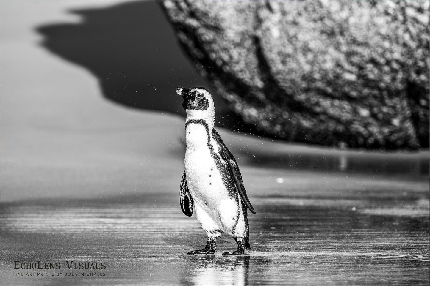 A Moment Ashore