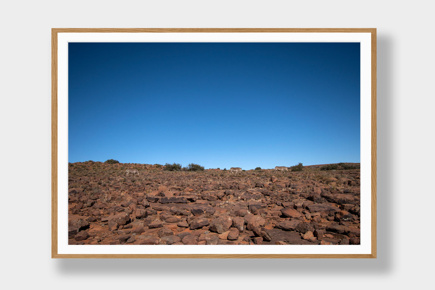 Among the Karoo Stones