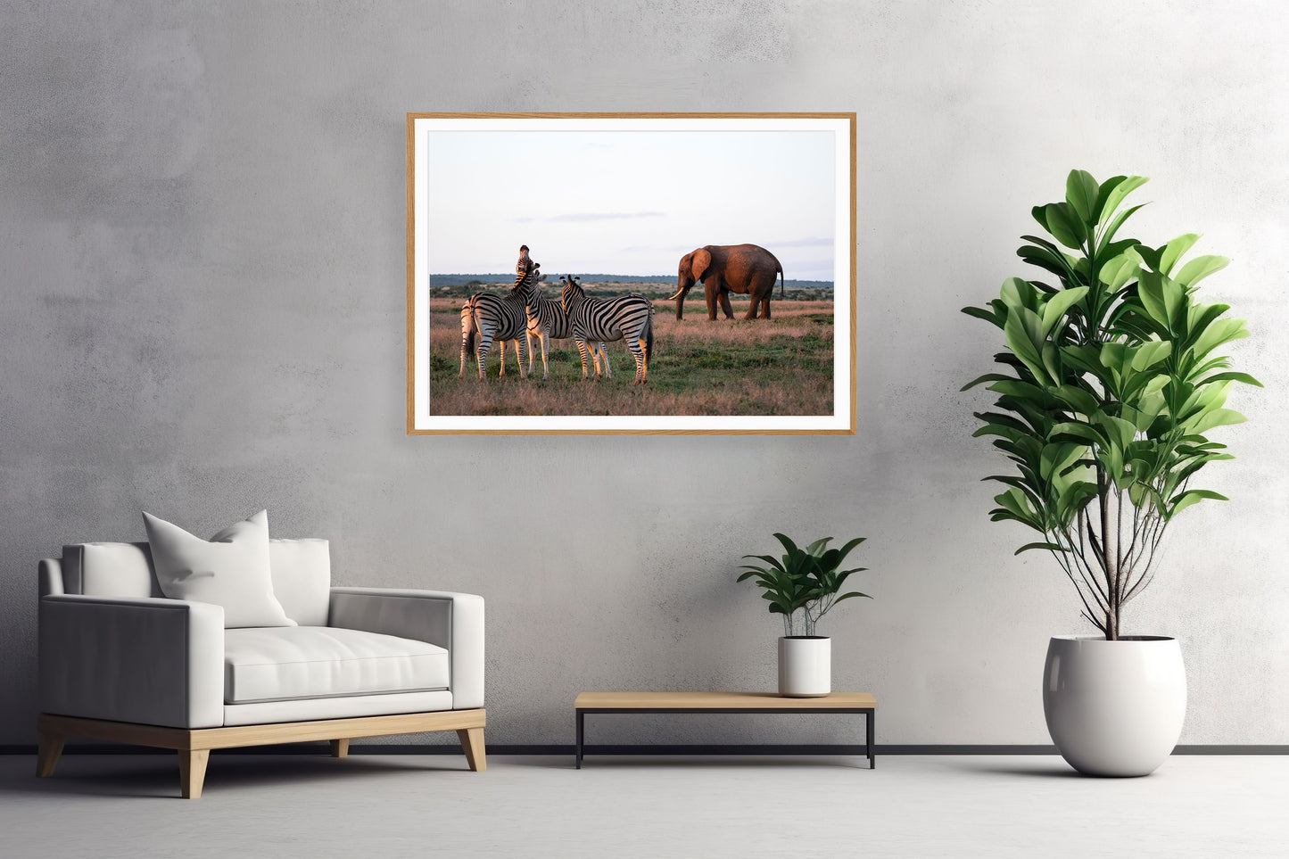 Between Stripes and Giants