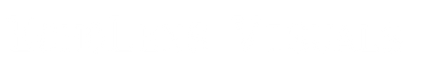 EchoLens Visuals