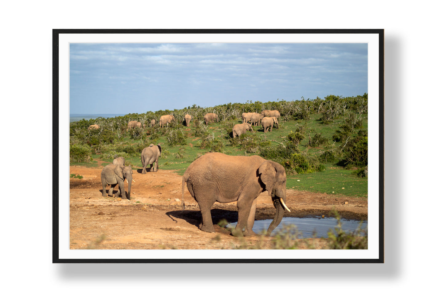 The Weight of the Herd