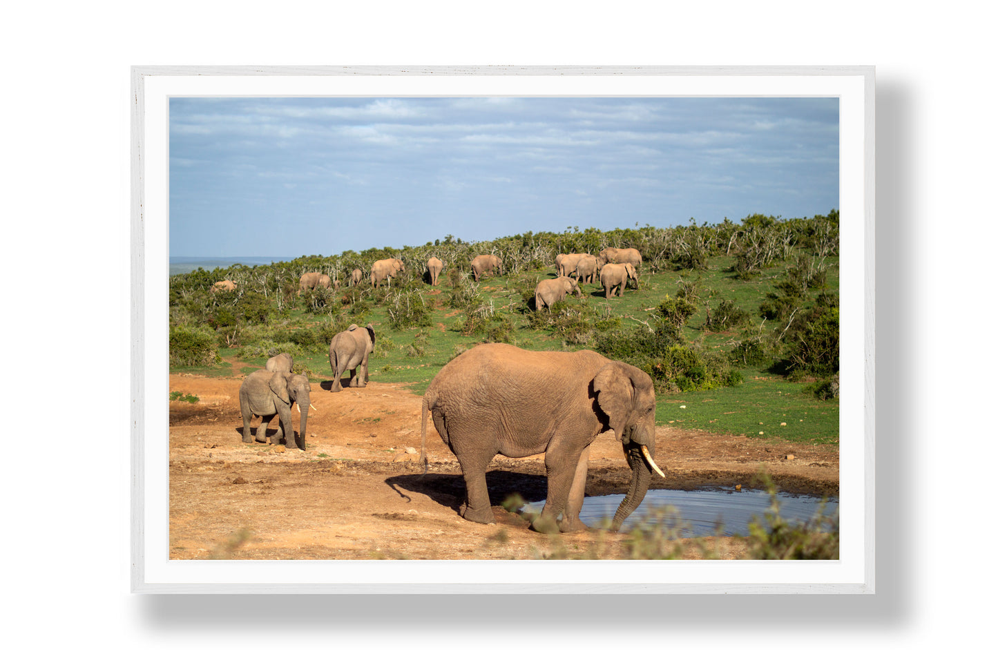 The Weight of the Herd