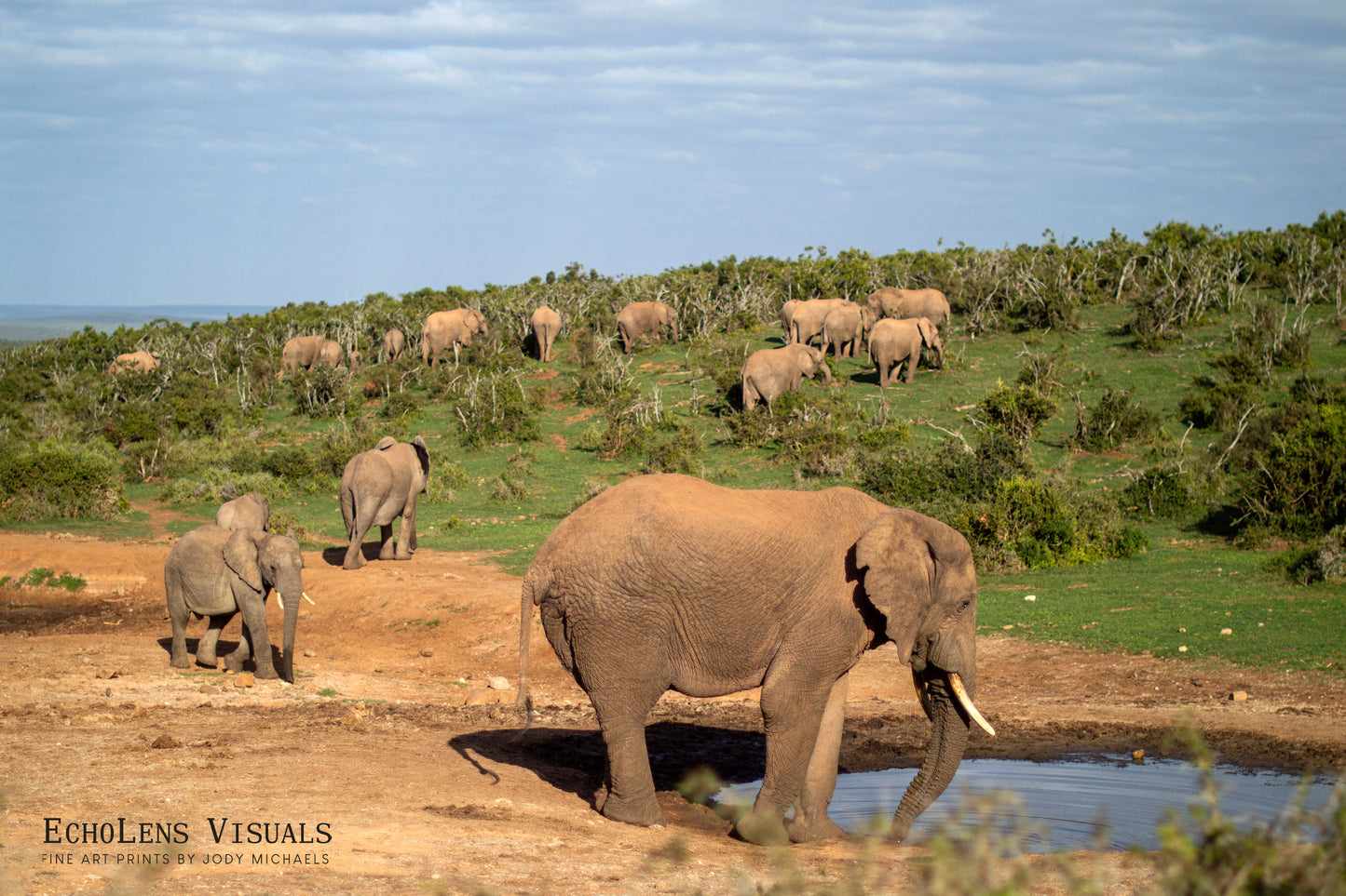 The Weight of the Herd
