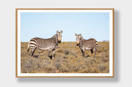 Two of the Karoo